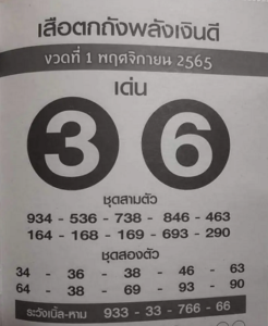 เสือตกถังพลังเงินดี 1/11/65
